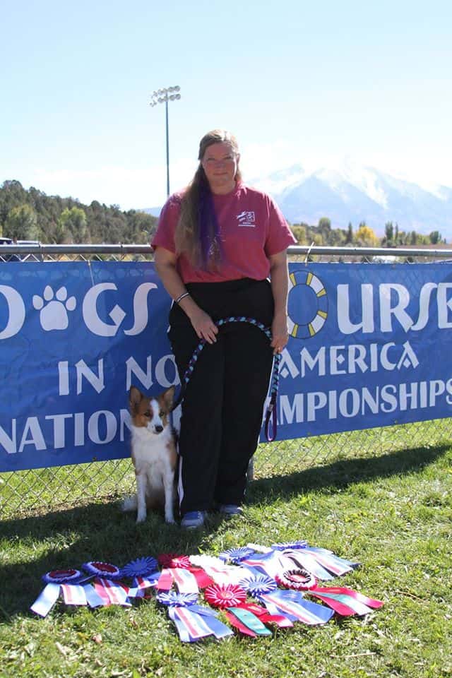 Agility Dog standing next to handler