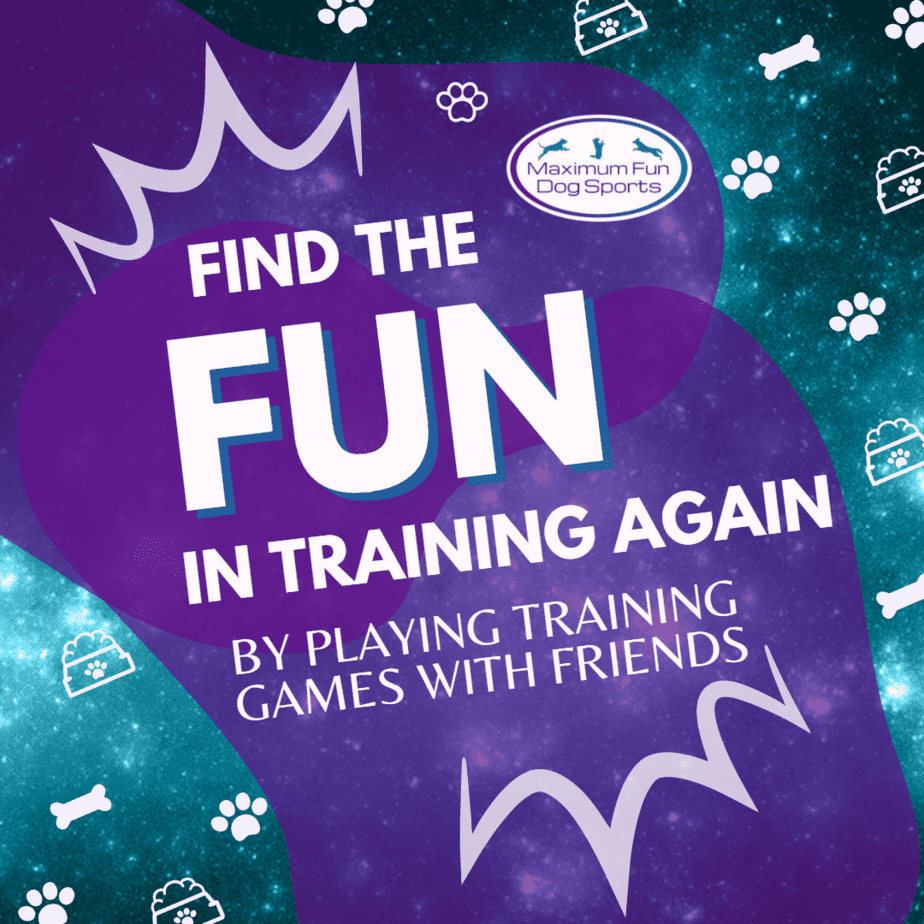 Graphic find the fun in dog training again