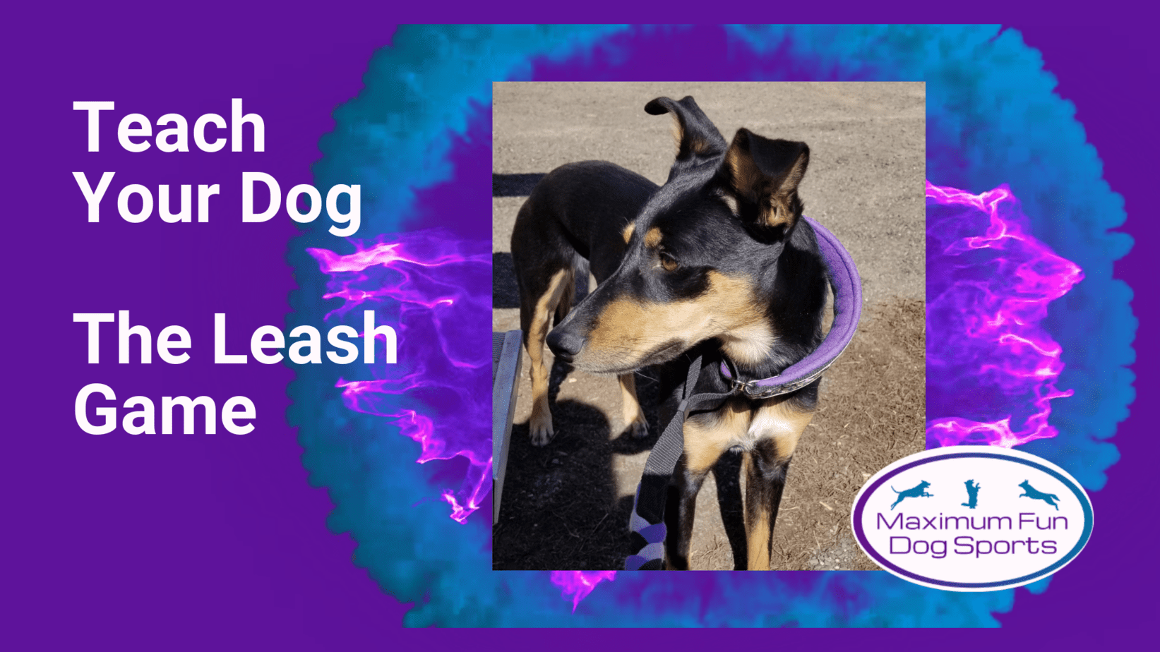 Video Thumbnail for The Leash Game