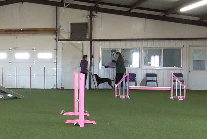 Two agility handlers and a dog standing in a training building