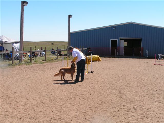 Agility dog being rewarded near handler