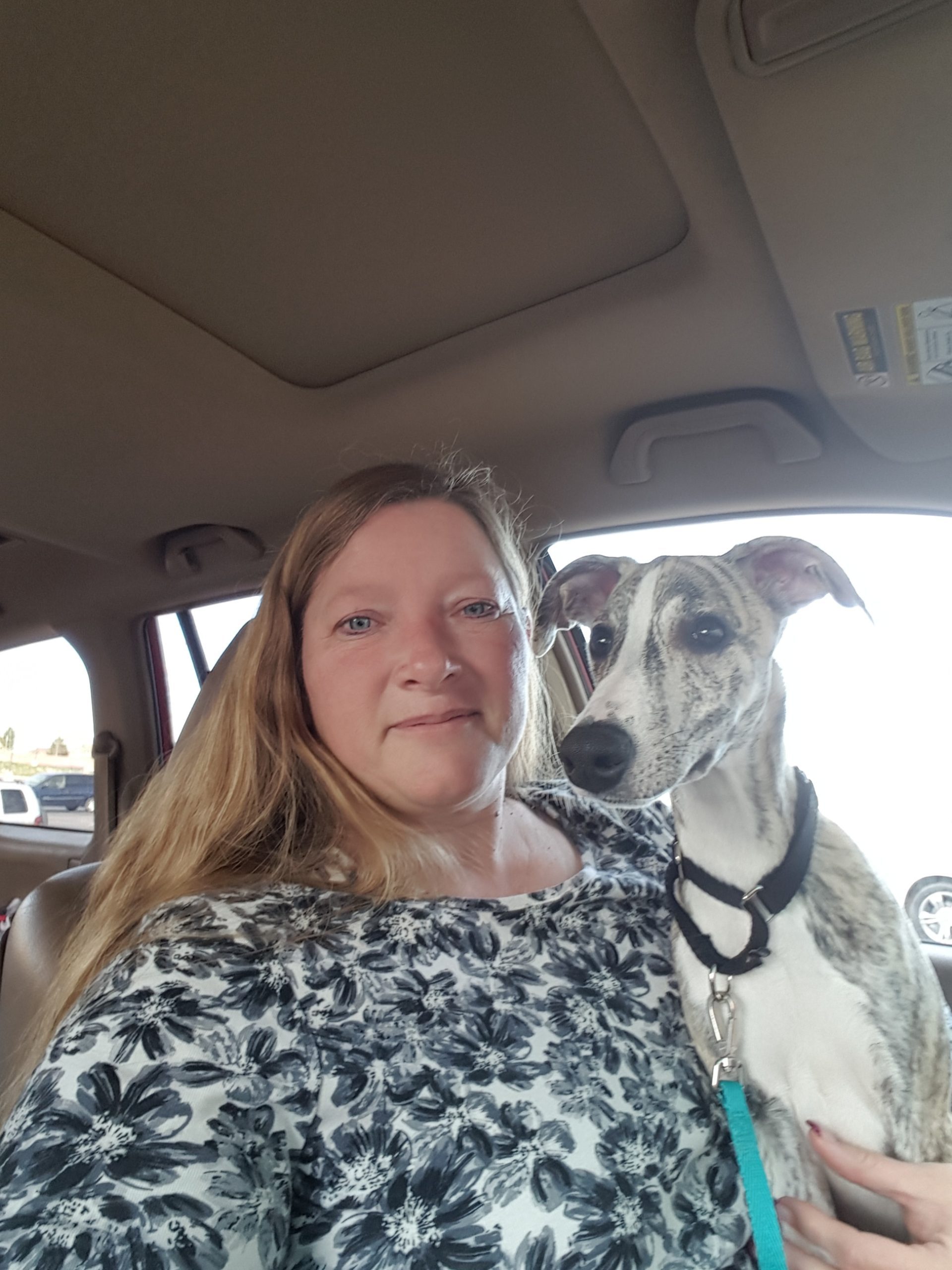 Dog and owner sitting in the car