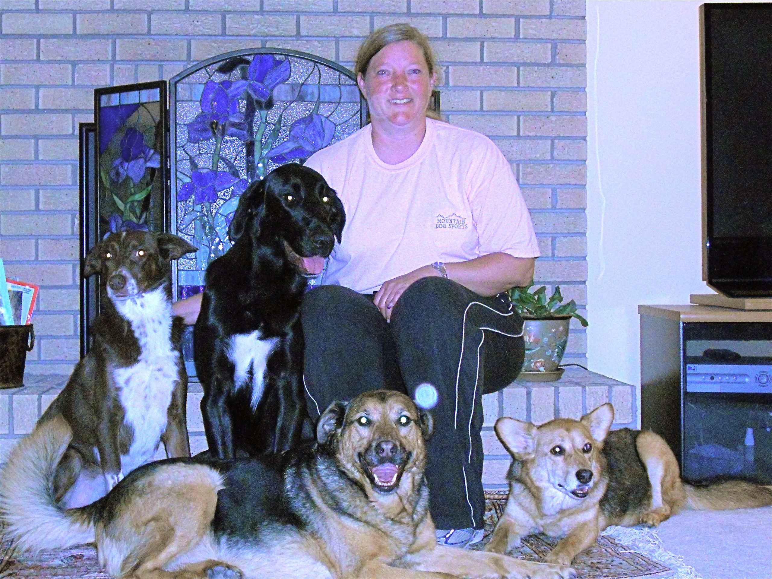 Four dogs posed with their owner